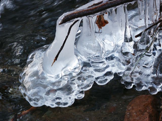 pict1385.jpg