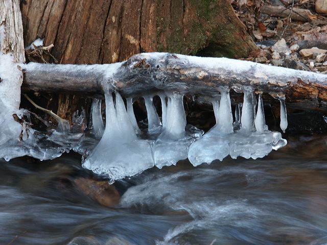 pict1390.jpg