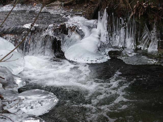 pict1397.jpg