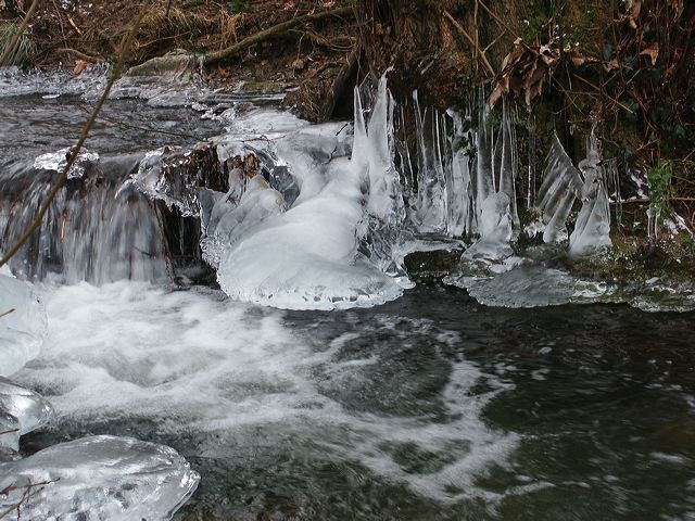 pict1400.jpg