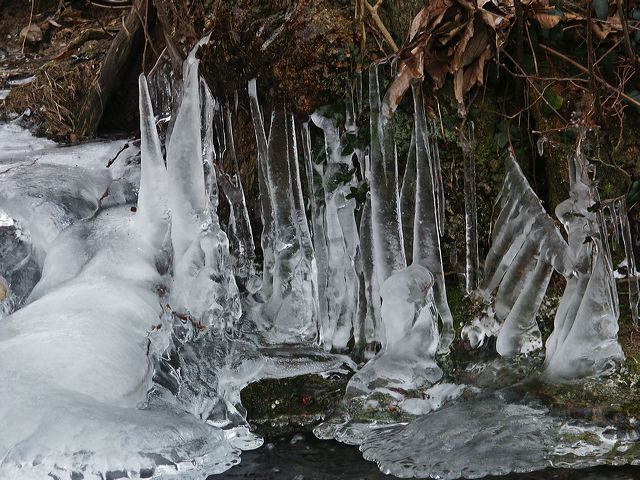 pict1403.jpg