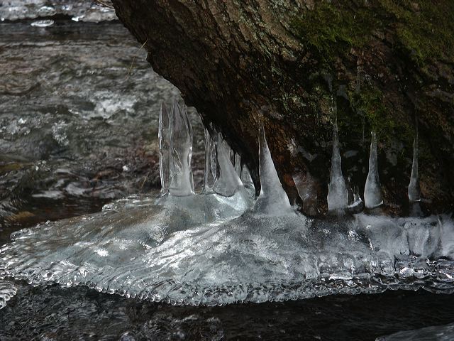 pict1408.jpg
