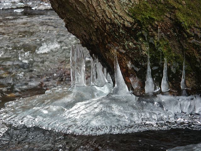pict1409.jpg