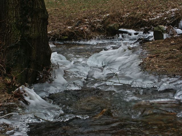 pict1411.jpg