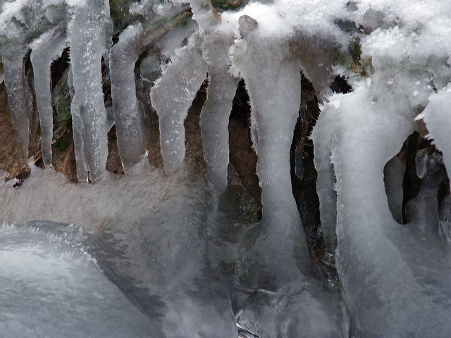 pict1418.jpg
