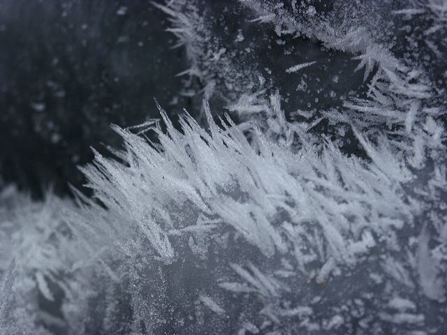 pict1442.jpg