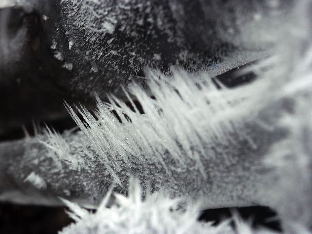 pict1444.jpg