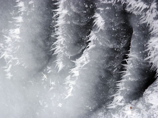 pict1454.jpg
