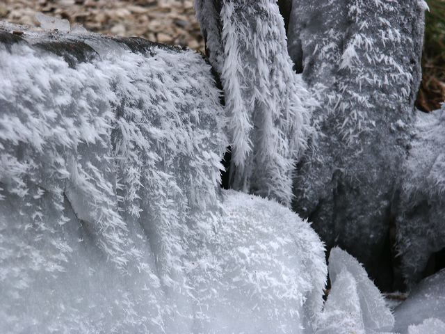 pict1457.jpg