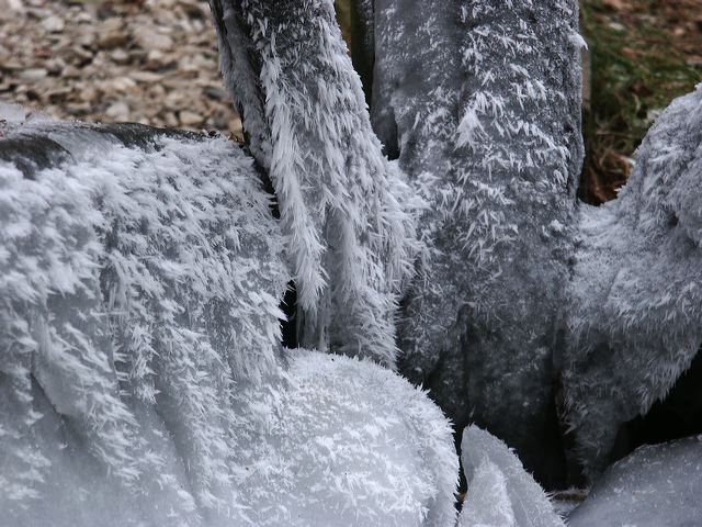 pict1460.jpg
