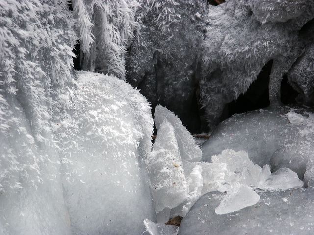 pict1463.jpg