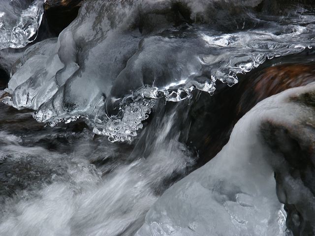 pict1464.jpg