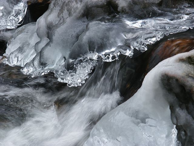 pict1466.jpg