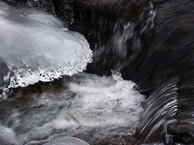 pict1467.jpg