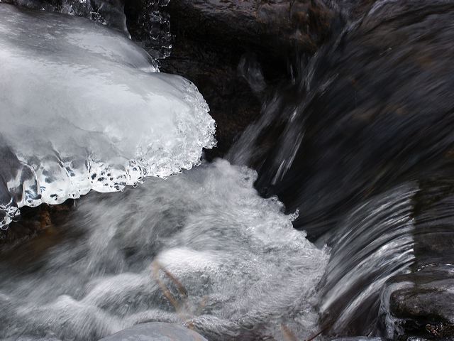 pict1469.jpg