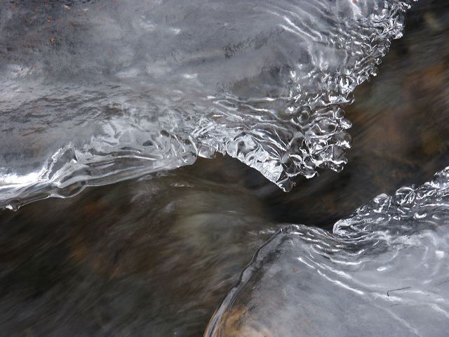 pict1484.jpg