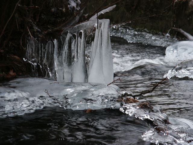 pict1495.jpg