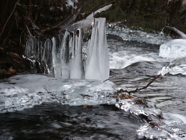 pict1496.jpg