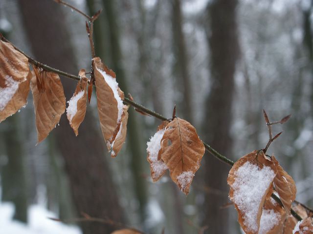 pict1500.jpg