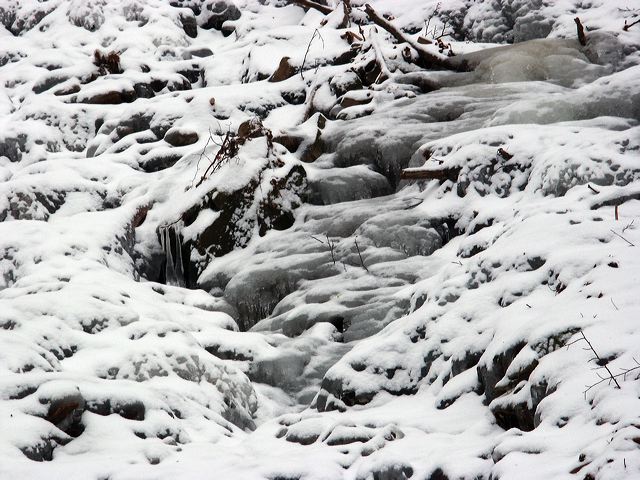 pict1518.jpg