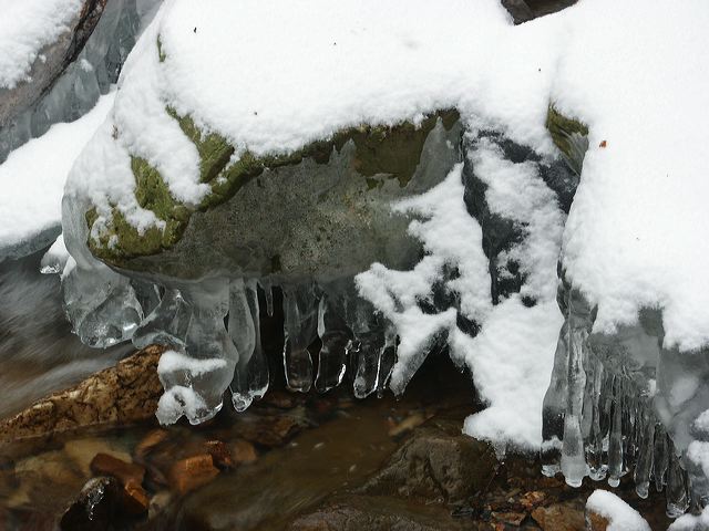 pict1521.jpg