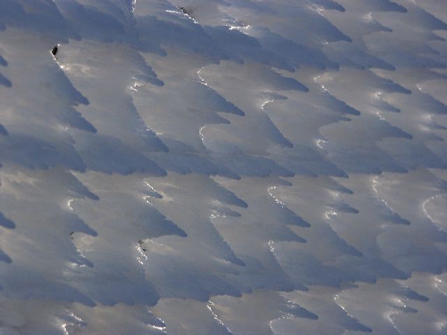 pict1533.jpg