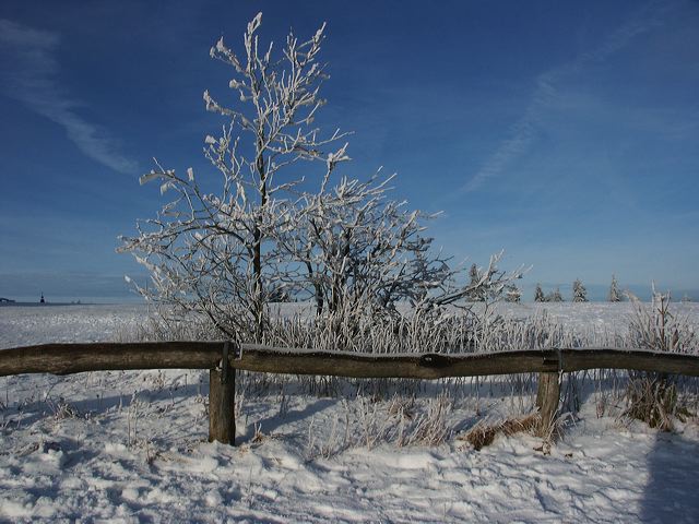 pict1537.jpg