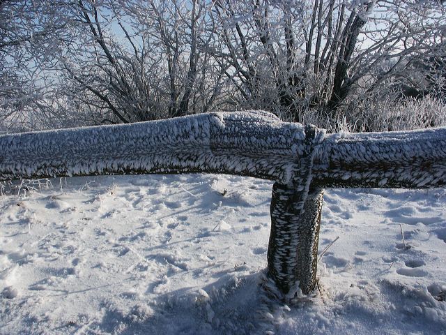 pict1539.jpg