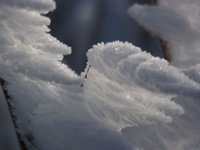 pict1545.jpg