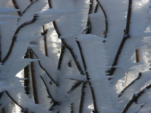 pict1550.jpg