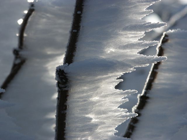 pict1553.jpg