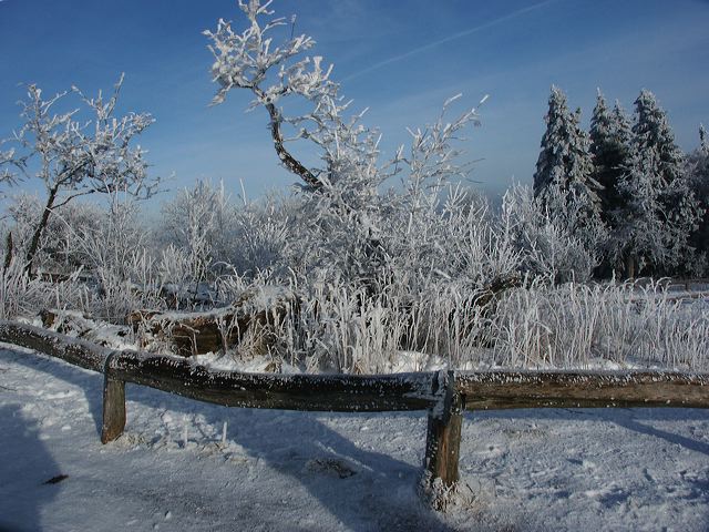 pict1563.jpg