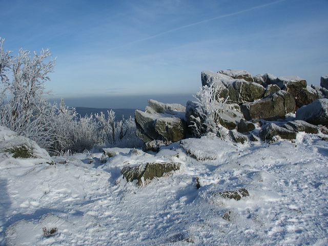 pict1568.jpg