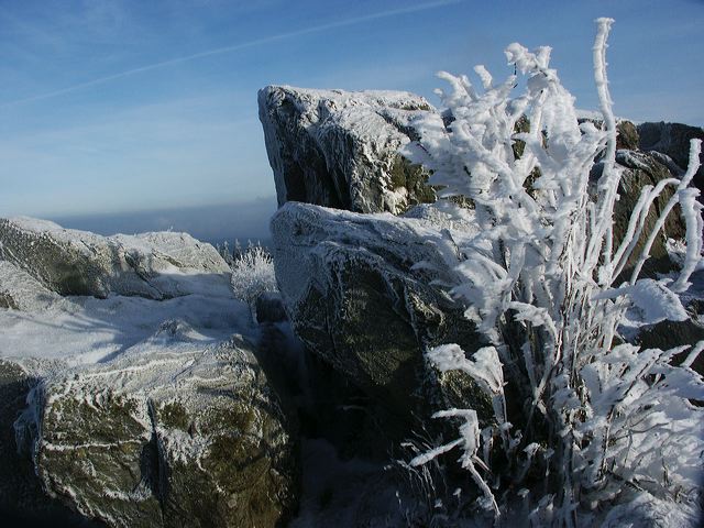 pict1569.jpg