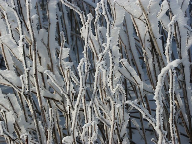 pict1586.jpg