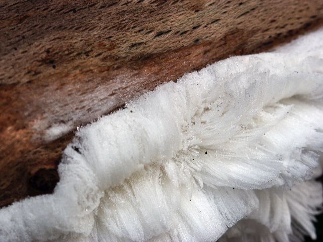 pict1598.jpg