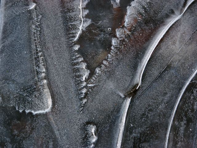pict1602_s.jpg