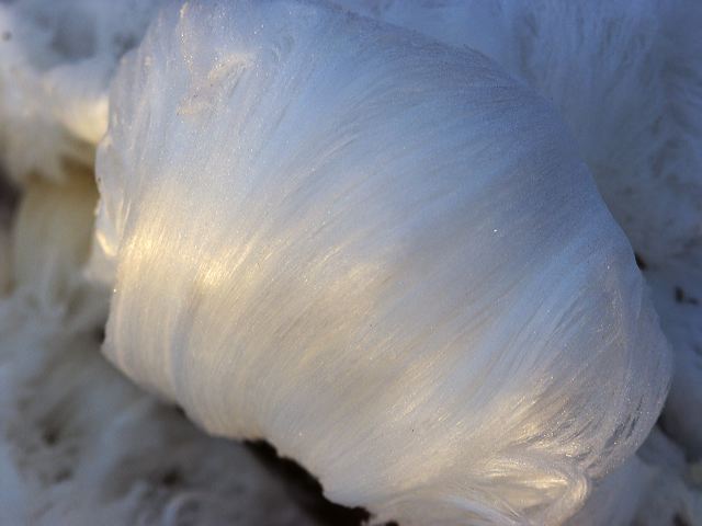 pict1619.jpg