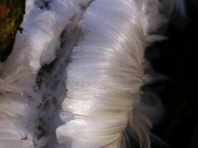 pict1622.jpg