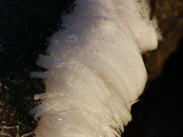 pict1679.jpg