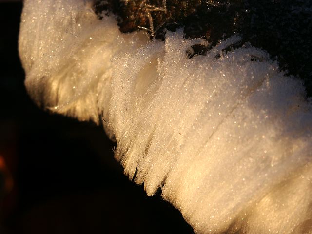 pict1682.jpg