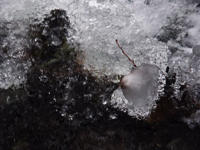 pict1695.jpg