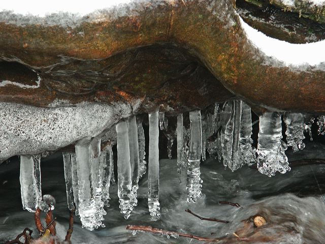 pict1698.jpg