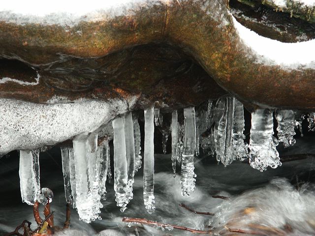 pict1700.jpg