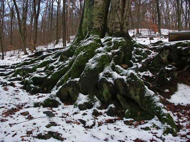 pict1796.jpg