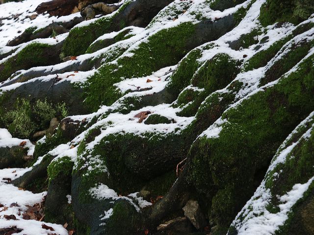 pict1801.jpg
