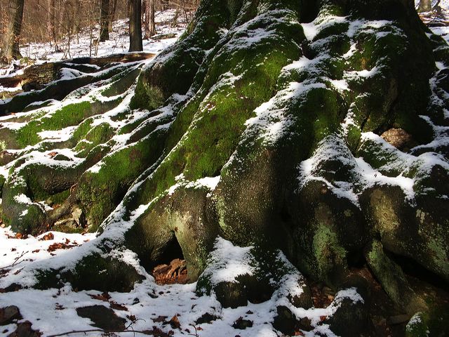 pict1816.jpg