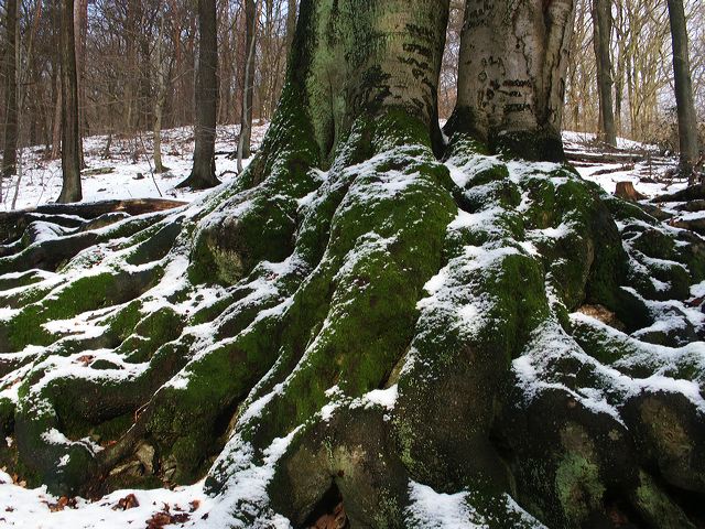 pict1819.jpg