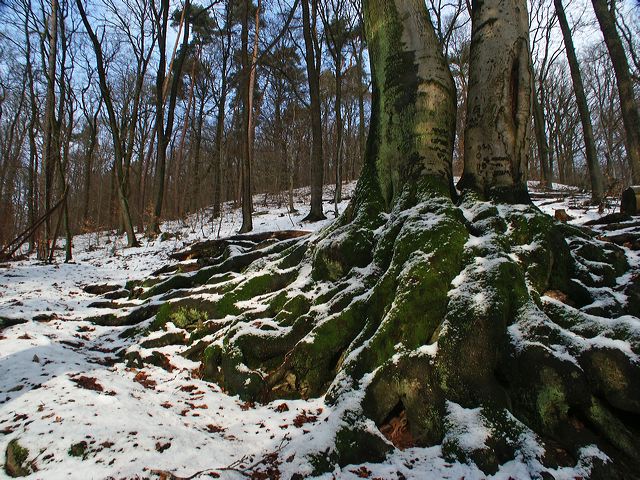 pict1822.jpg