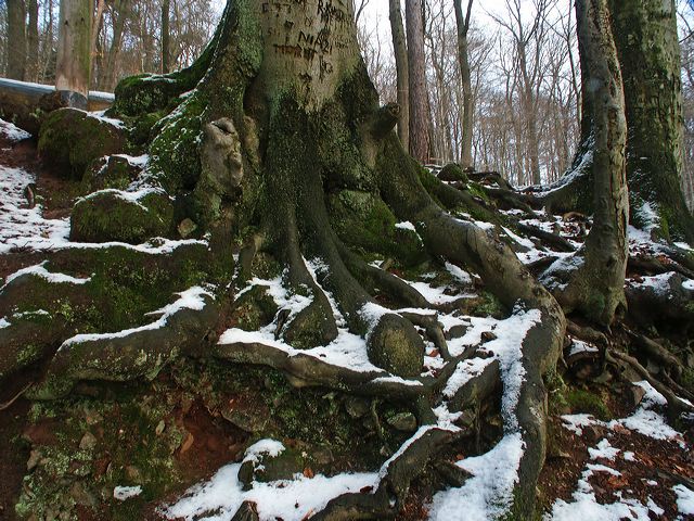 pict1829.jpg